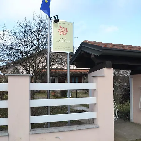 Le 3 Camelie Malpensa Vanzaghello