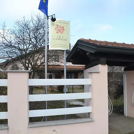 Le 3 Camelie Malpensa Vanzaghello